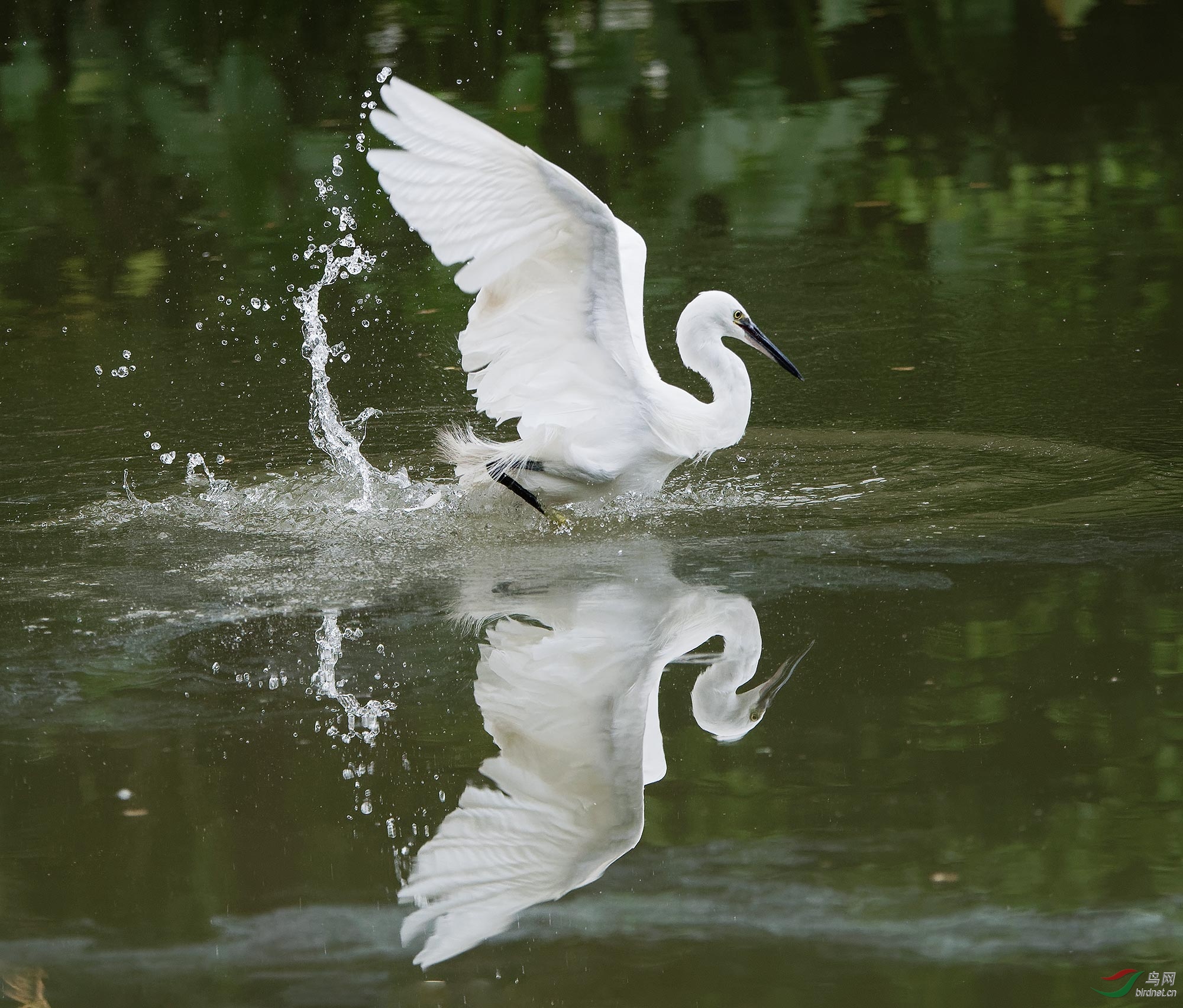 DSC_3082.jpg