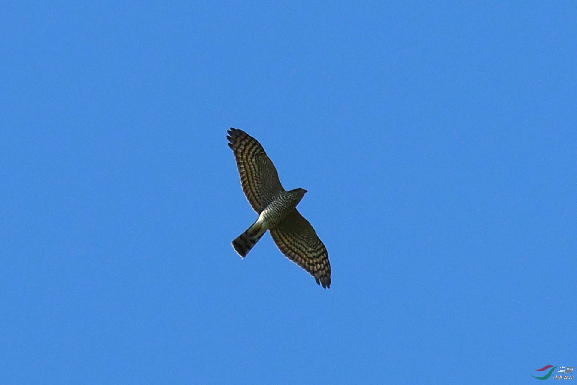 IMG_0912.JPG
