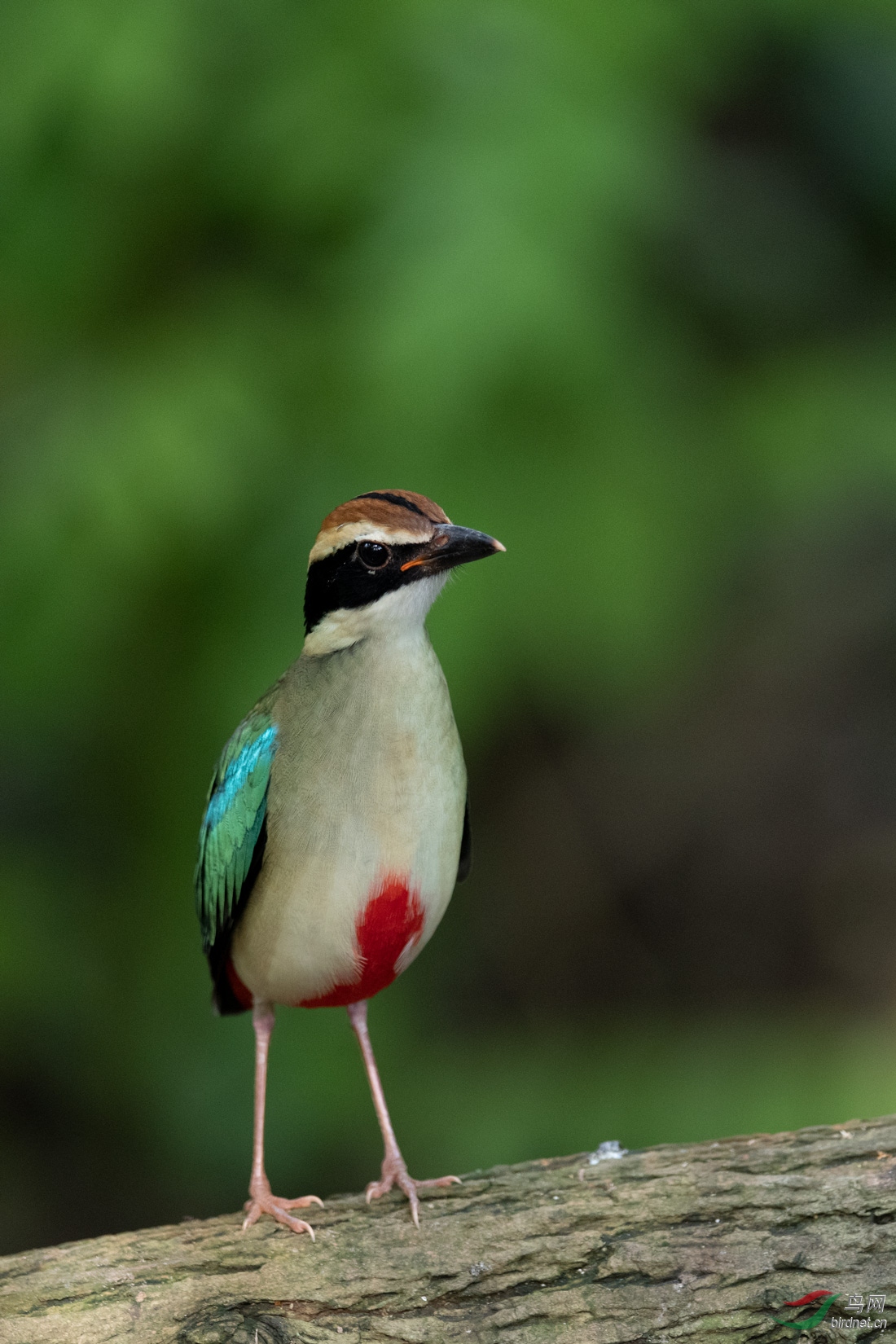 DSC_7584.jpg