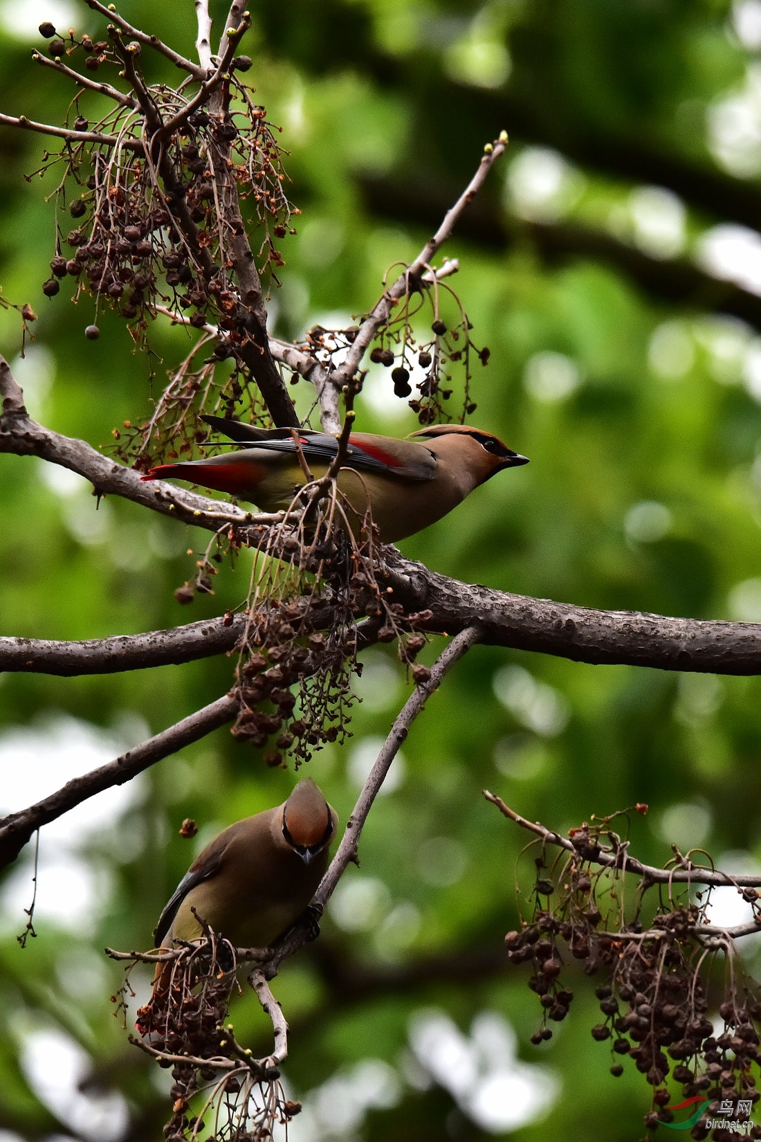 DSC_0437.JPG