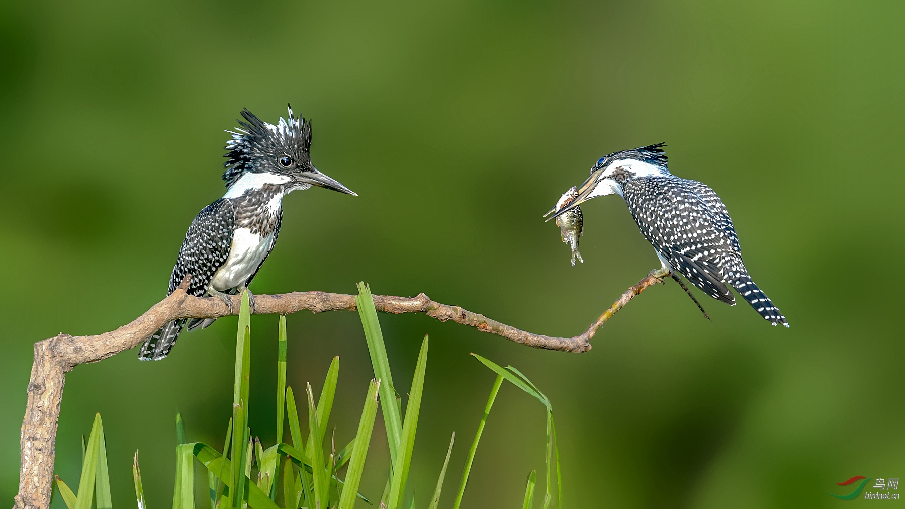 DSC_0270_����_���� (2)_����.jpg