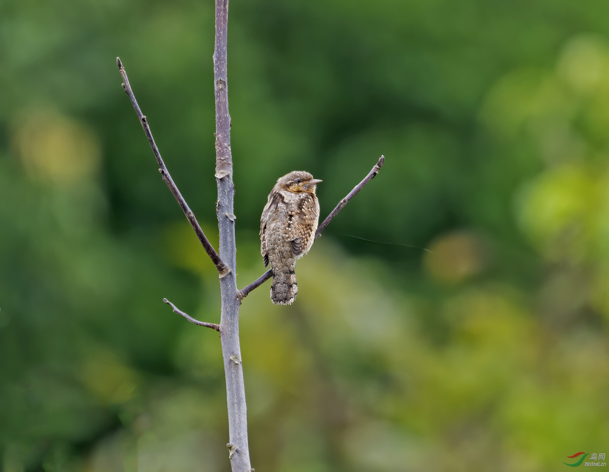 DSC_5579.jpg