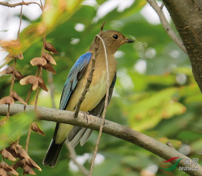 P5540442 - ���� (2).JPG