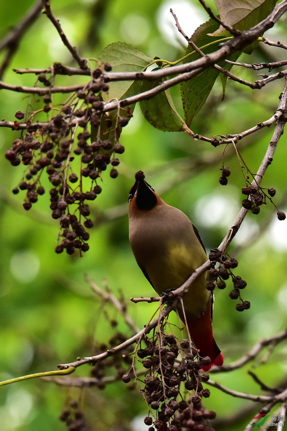 DSC_0445.JPG
