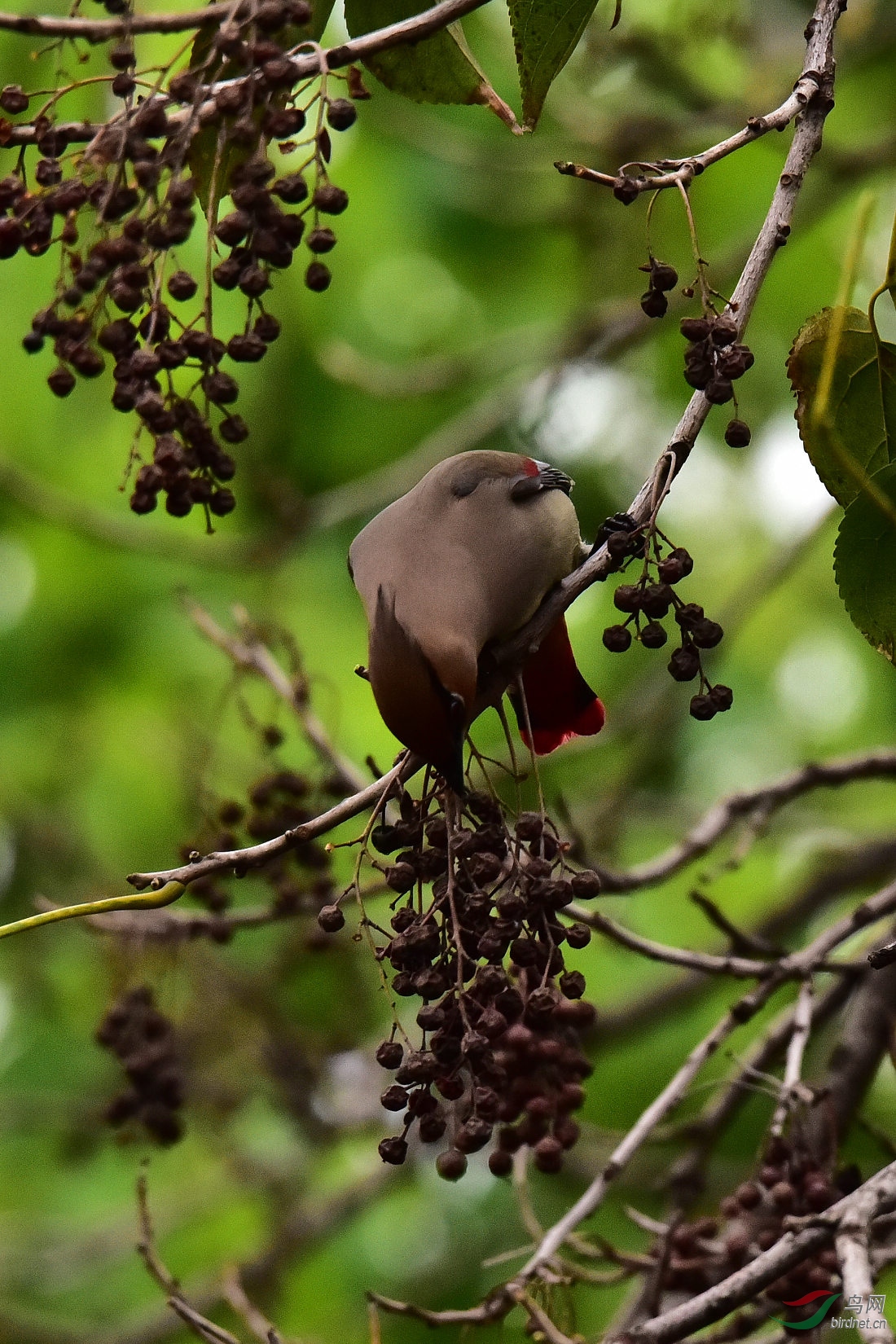 DSC_0448.JPG