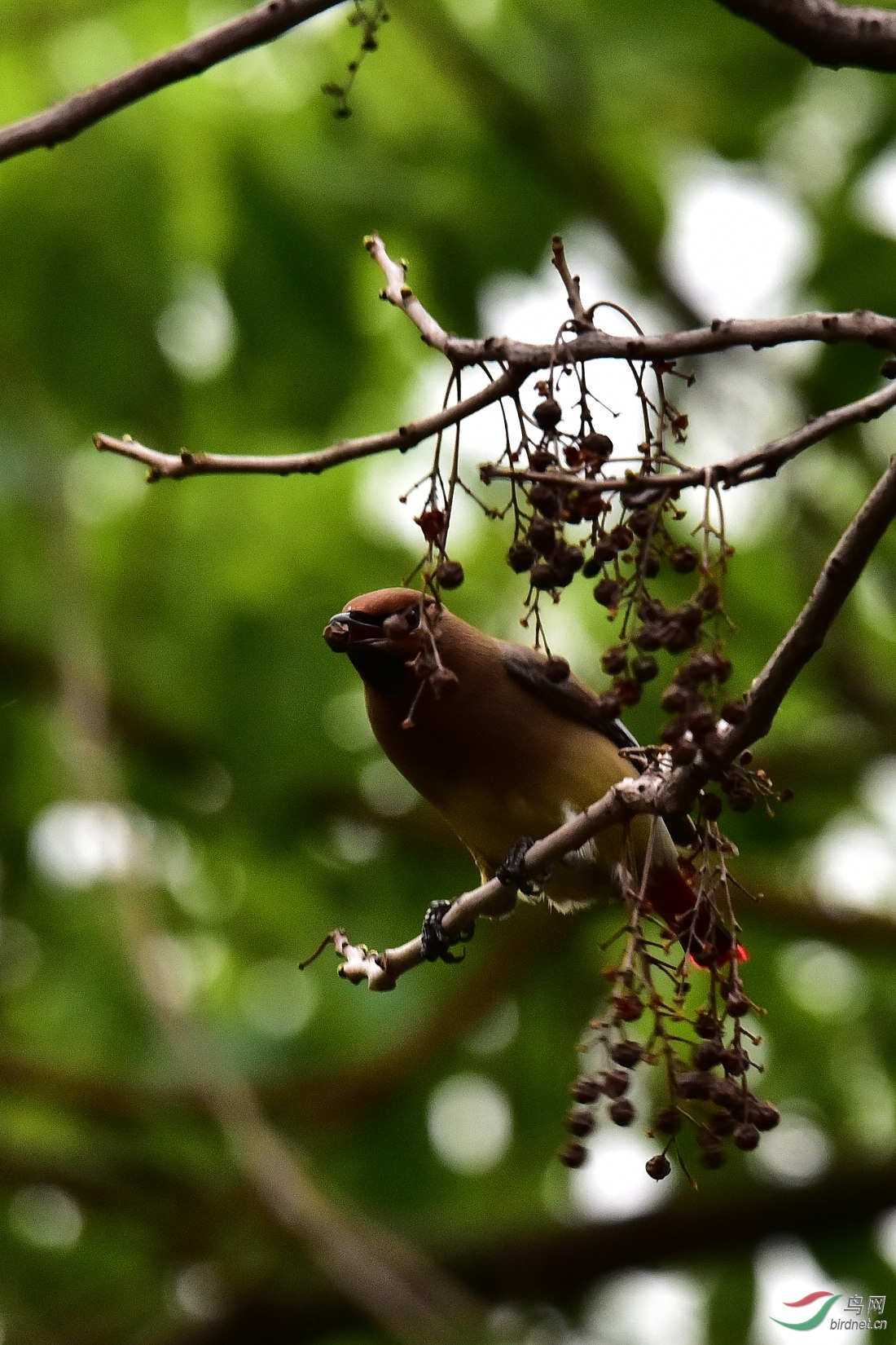 DSC_0451.JPG