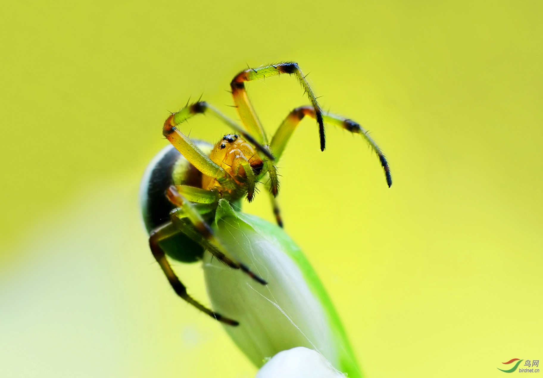 DSC_5742 ��������.jpg