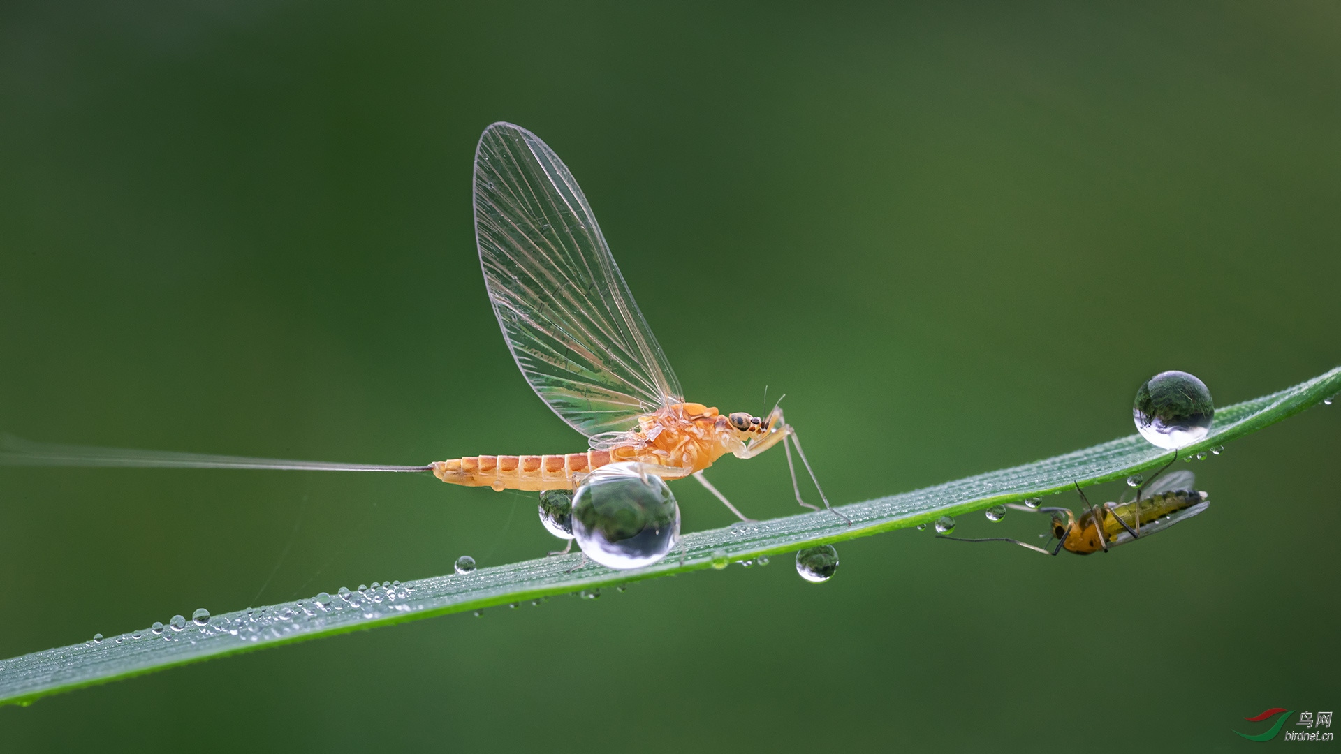 _G3A2575-1.jpg