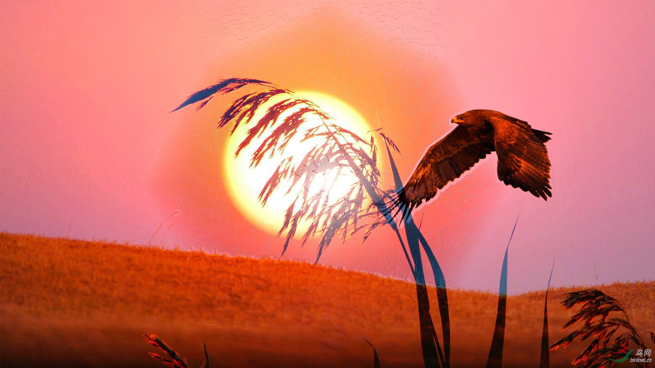 IYK_-03 ����_����.jpg