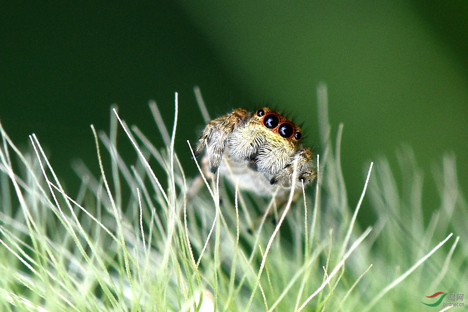 DSC_0662_����.jpg