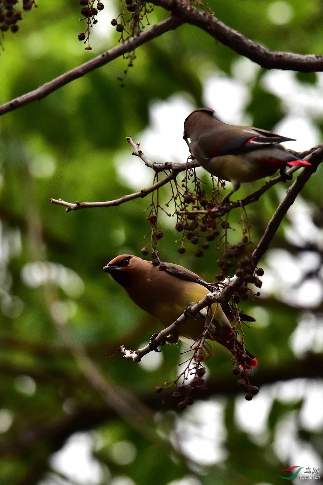 DSC_0458.JPG