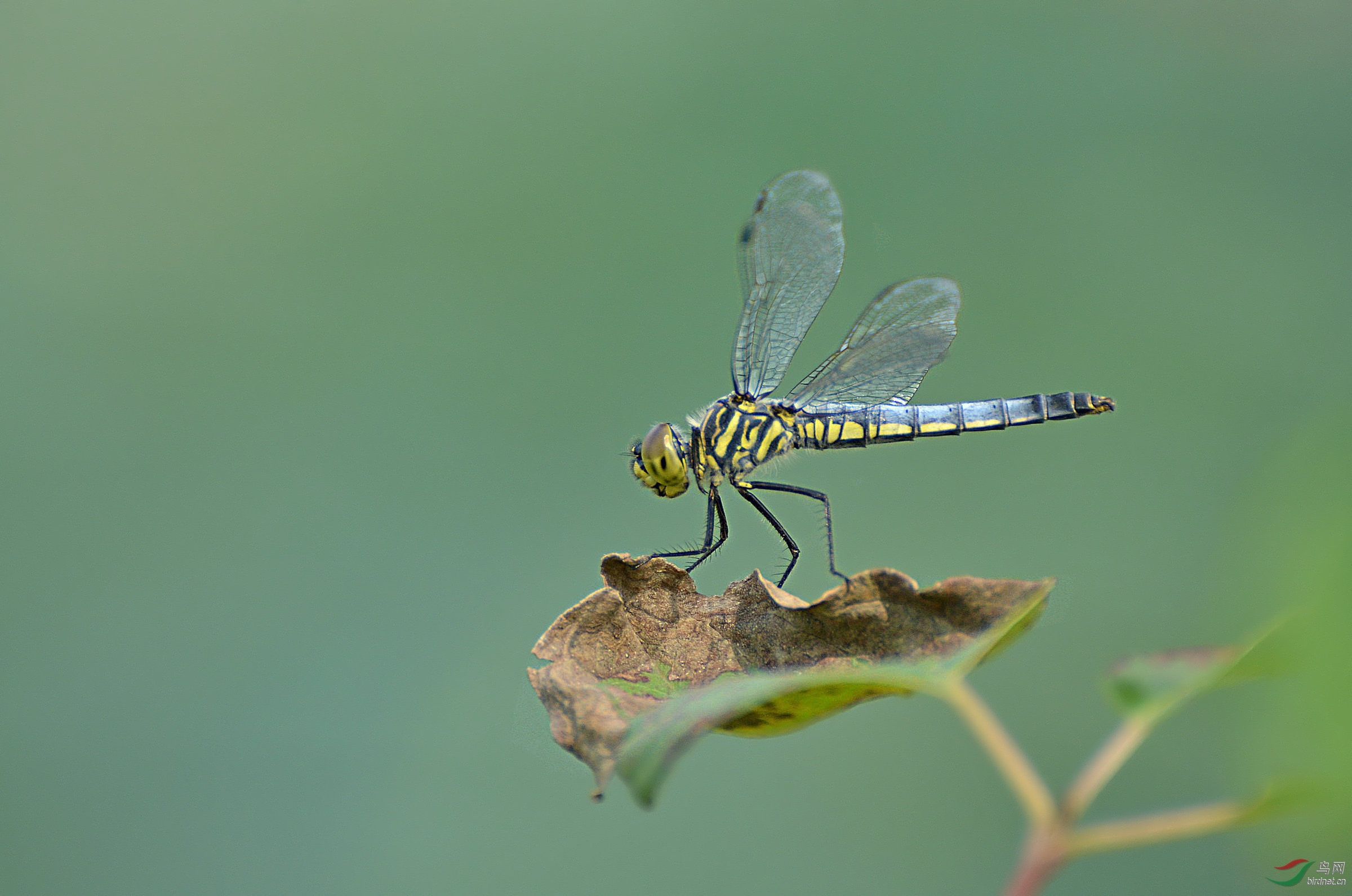 DSC_9747.JPG