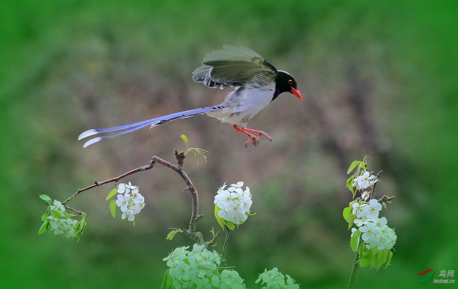 �滨������ȵ