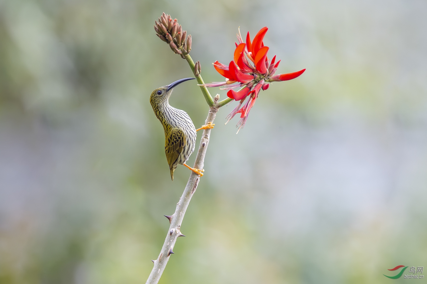 DSC_5721_1.JPG