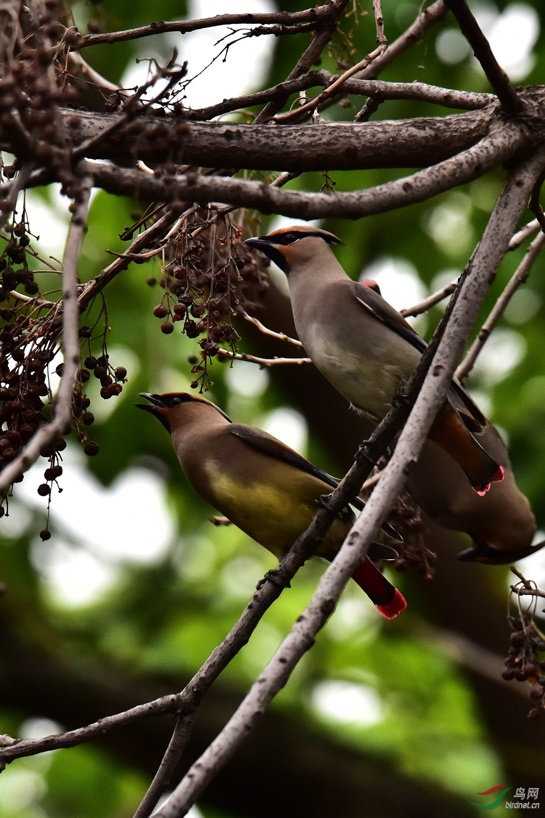 DSC_0472.JPG