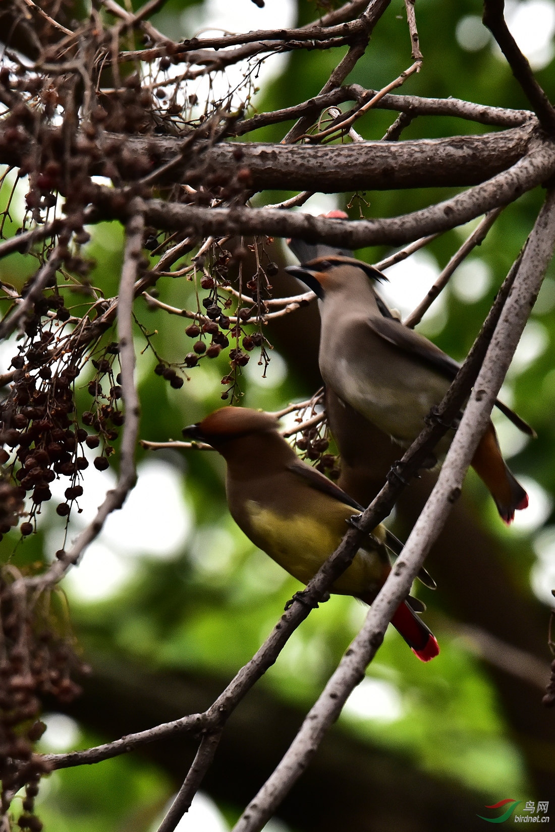 DSC_0473.JPG