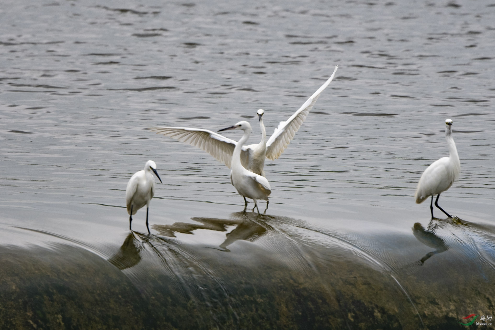 D50_4722.jpg