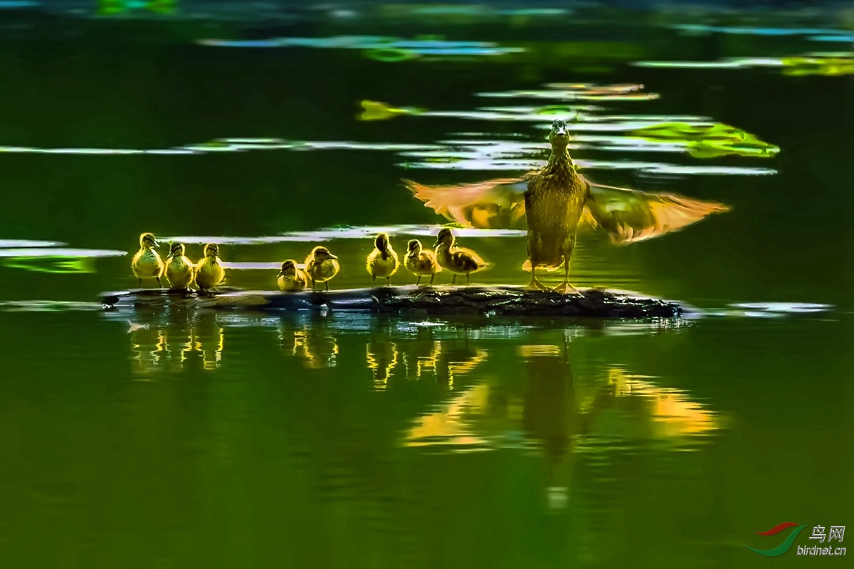 ҰѼ��.jpg
