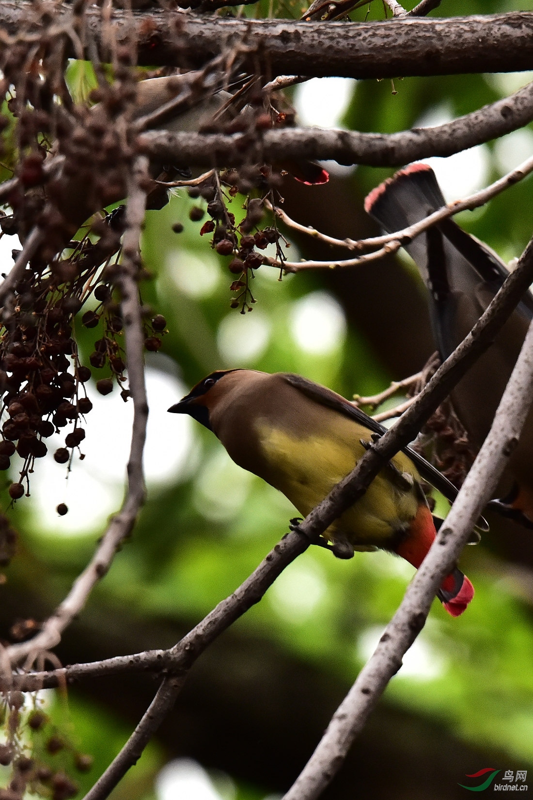 DSC_0477.JPG