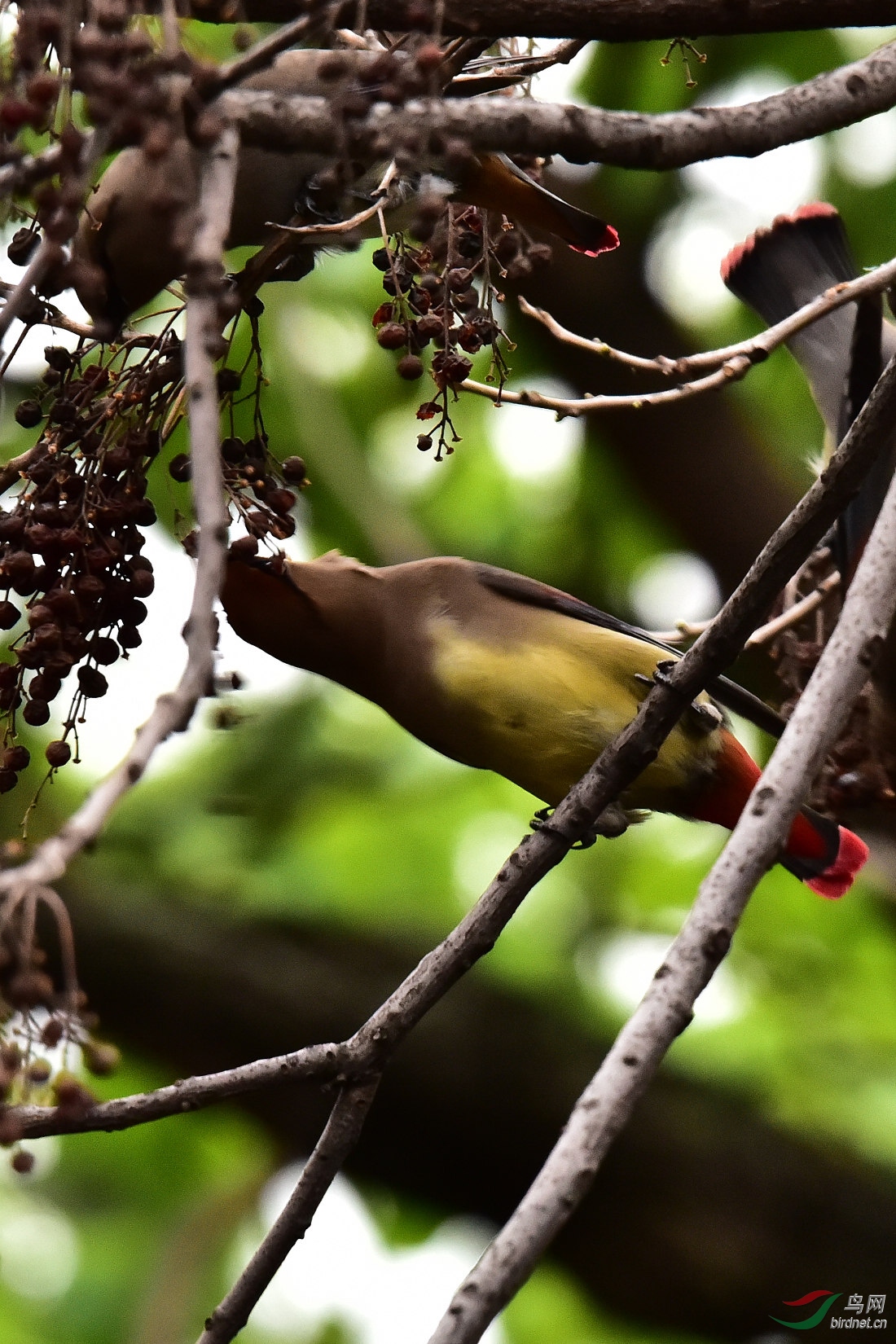 DSC_0478.JPG