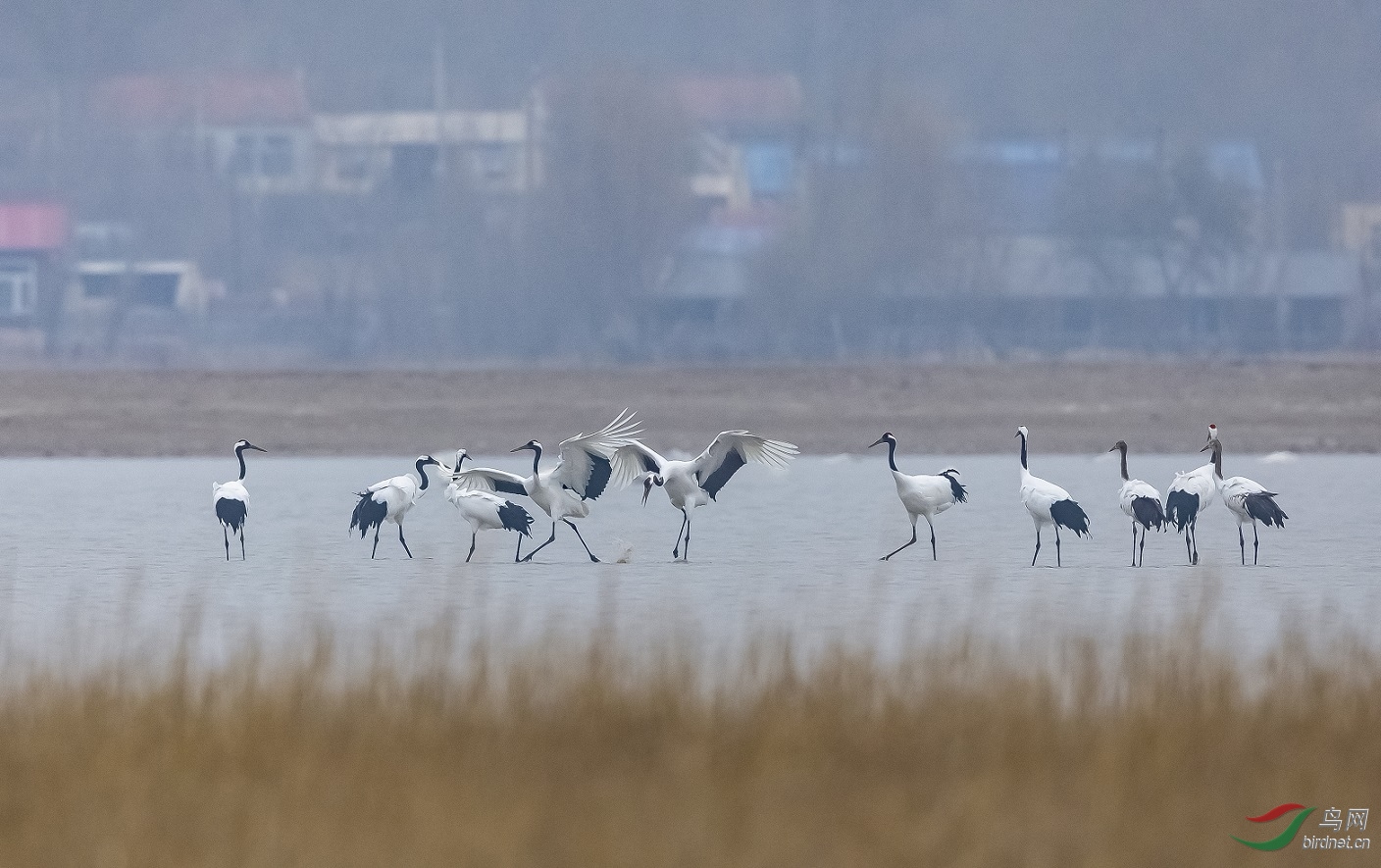 Ұ��������