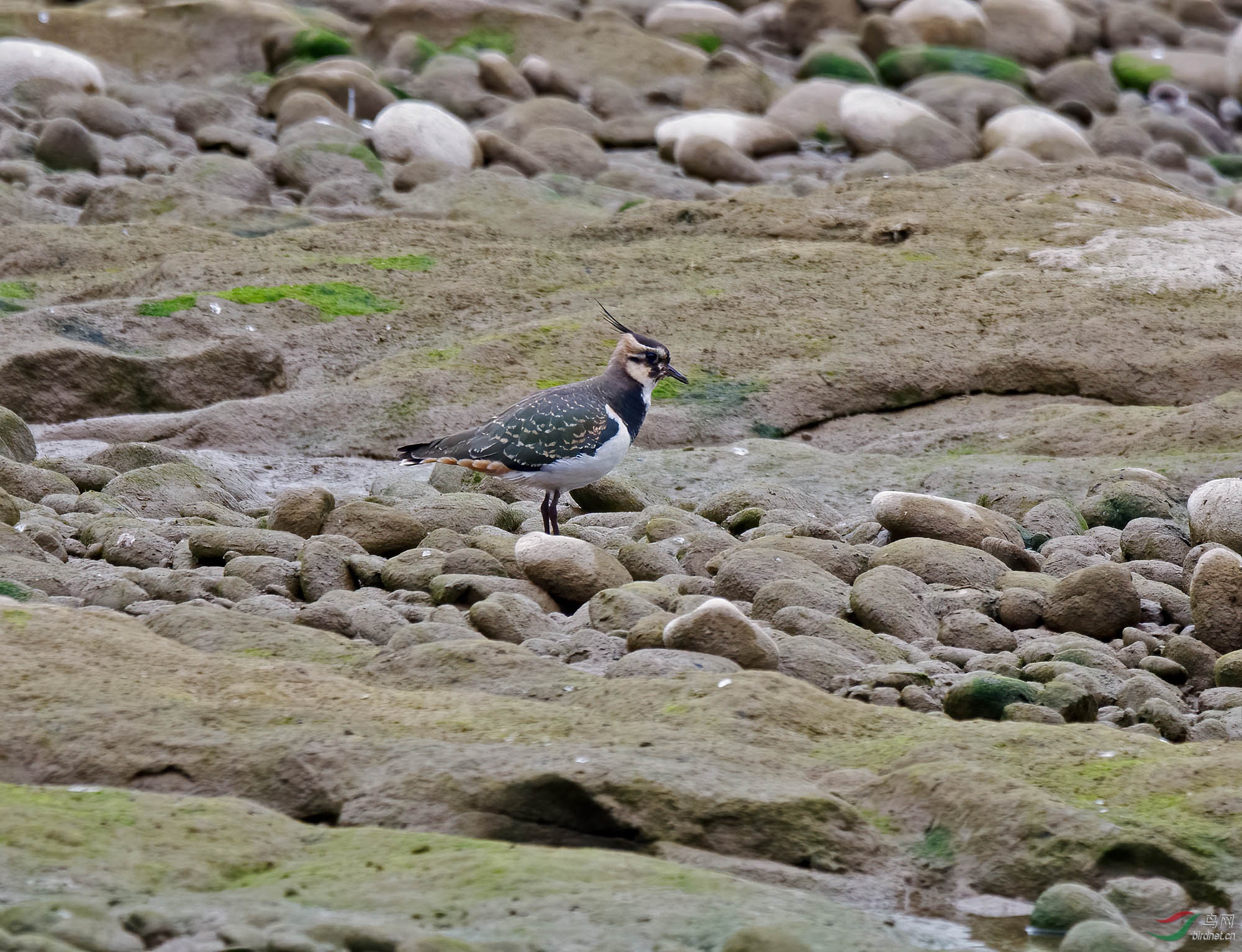 DSC_5740.jpg
