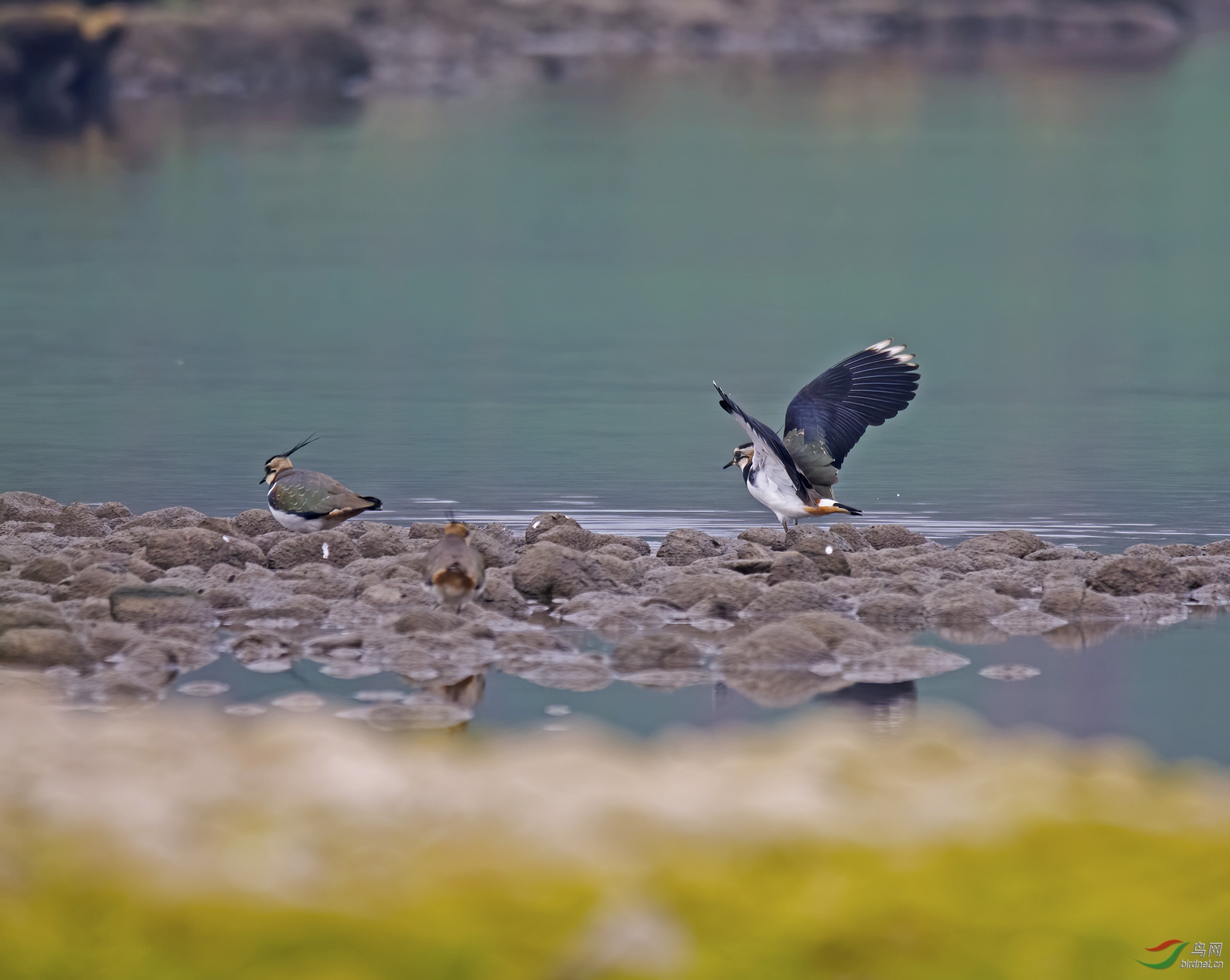 DSC_3278.jpg
