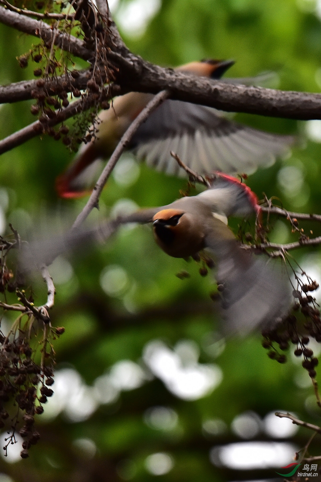 DSC_0488.JPG