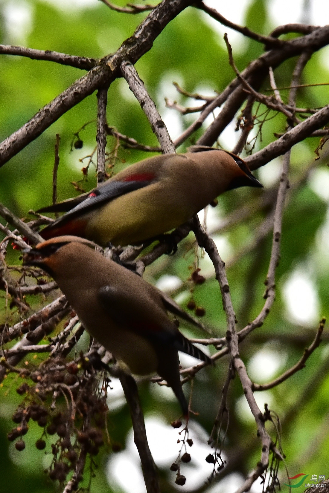 DSC_0491.JPG