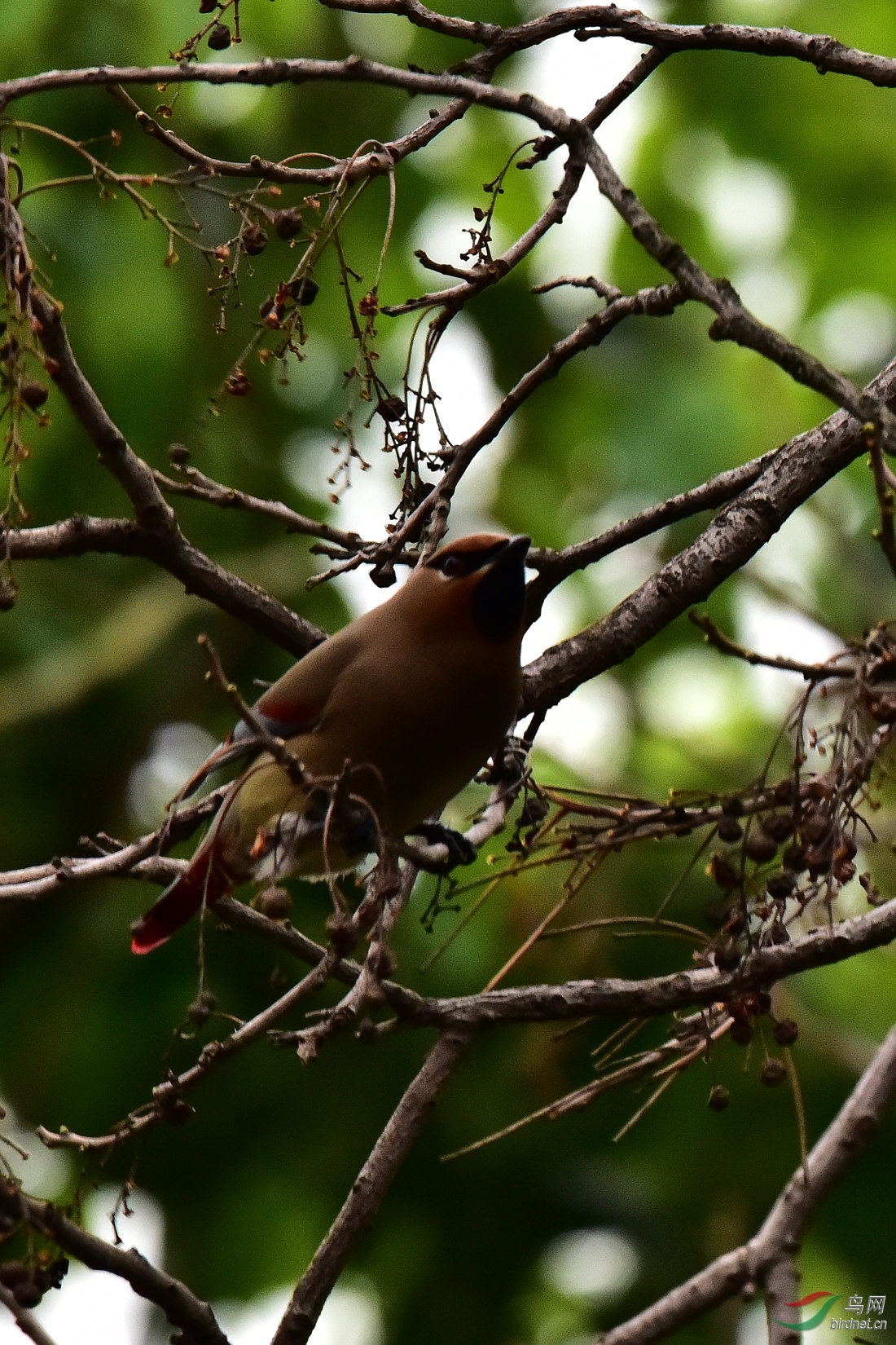DSC_0494.JPG