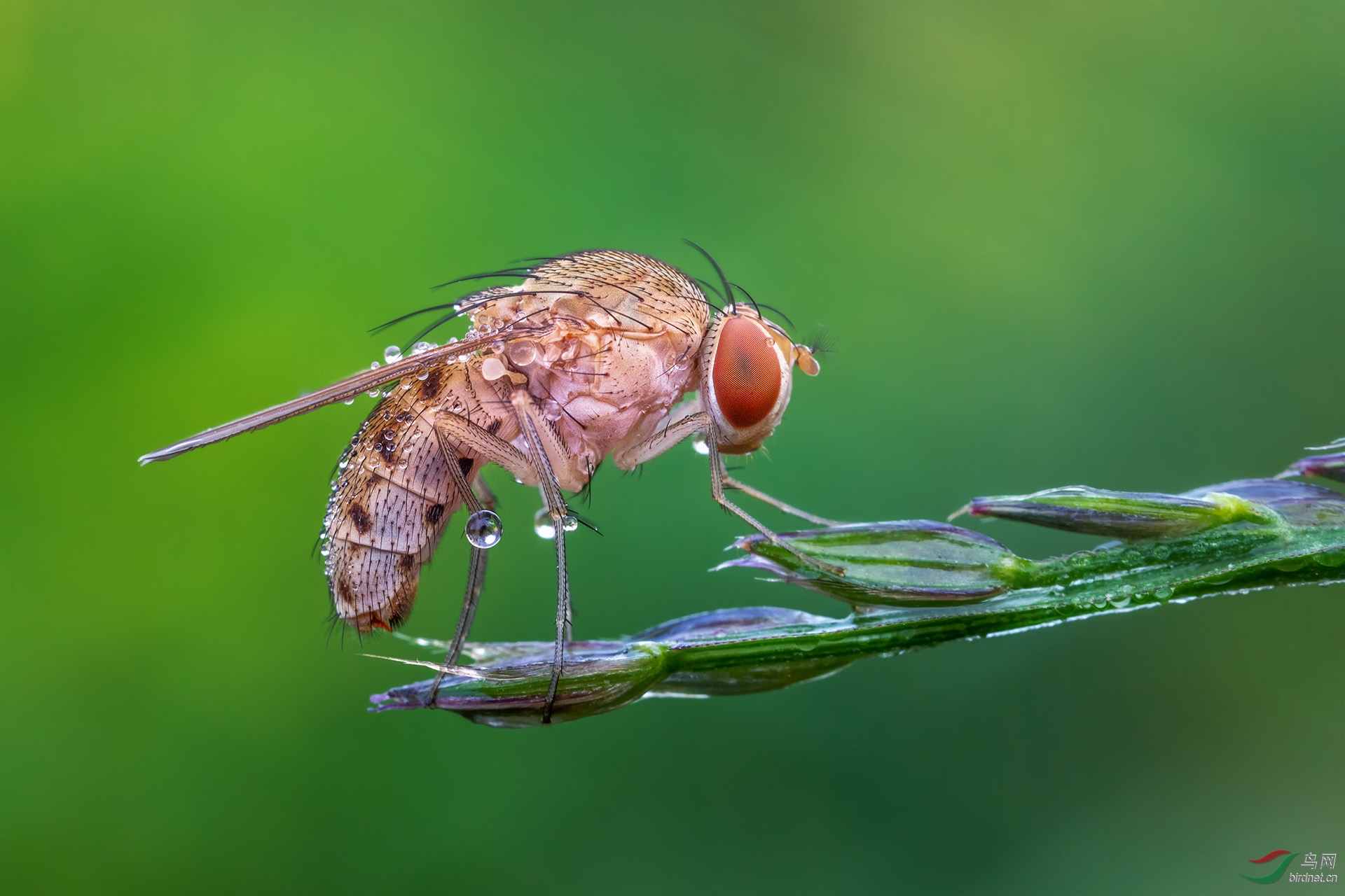 _G3A2664-1.jpg