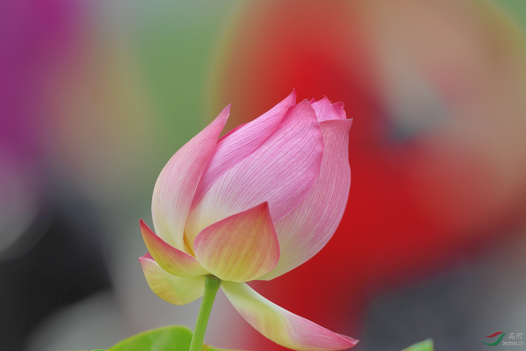 DSC_9787.JPG