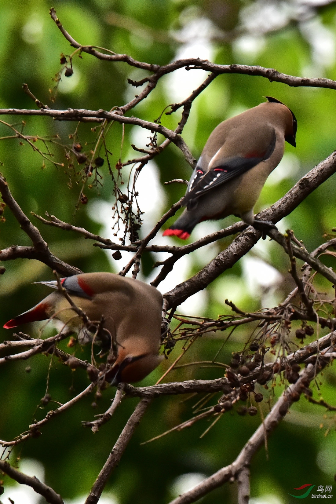 DSC_0496.JPG