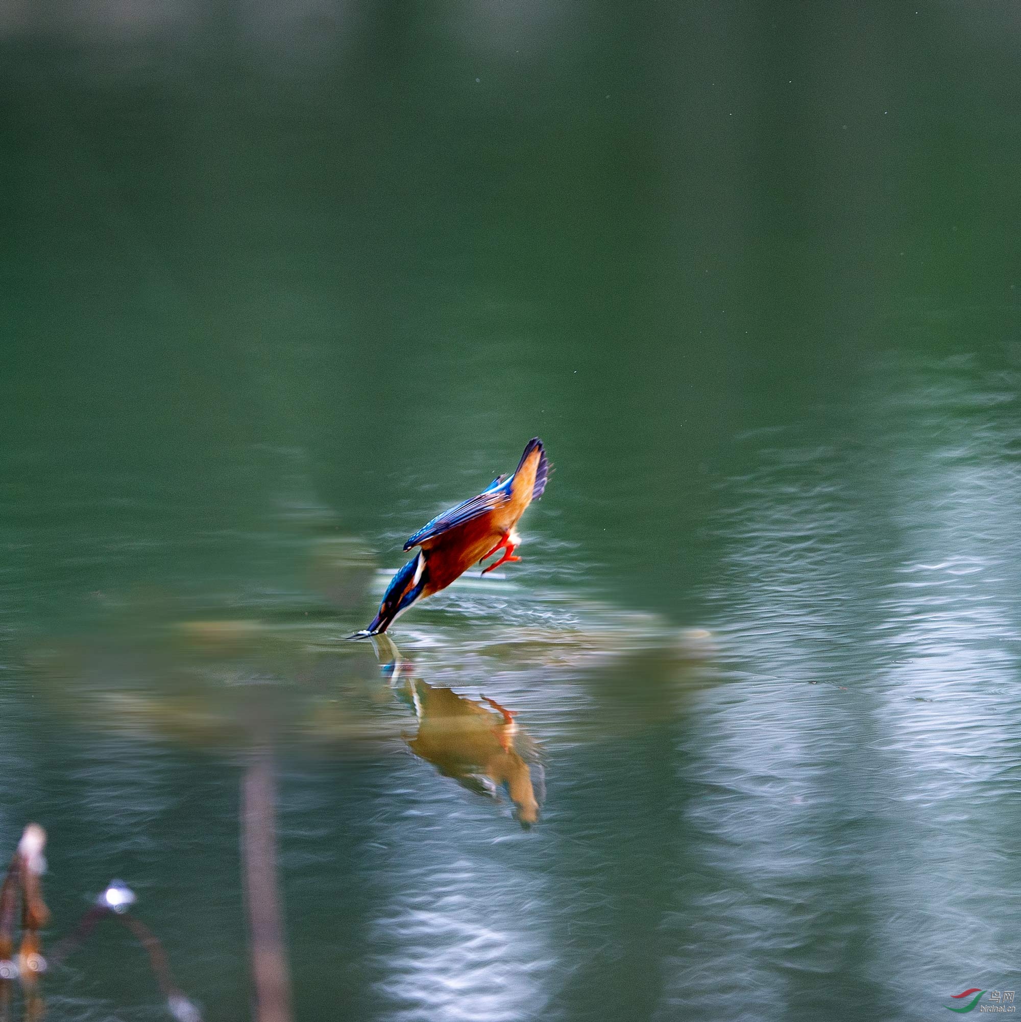DSC_6395.jpg