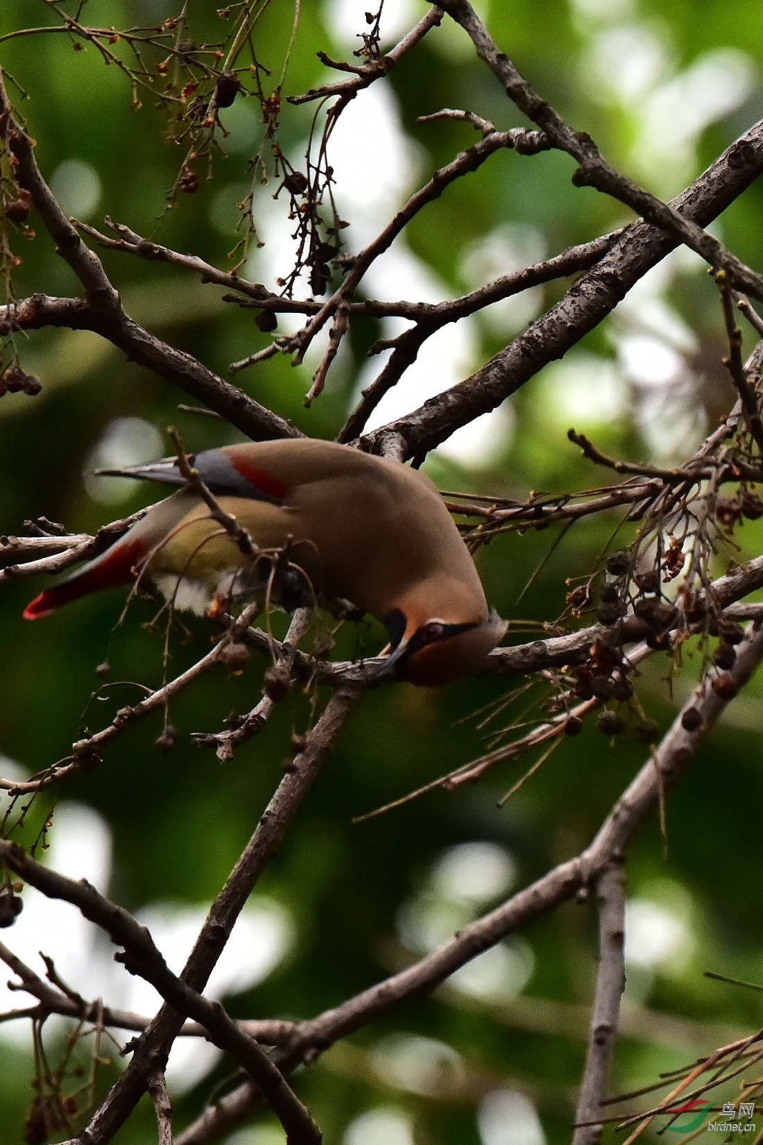DSC_0497.JPG