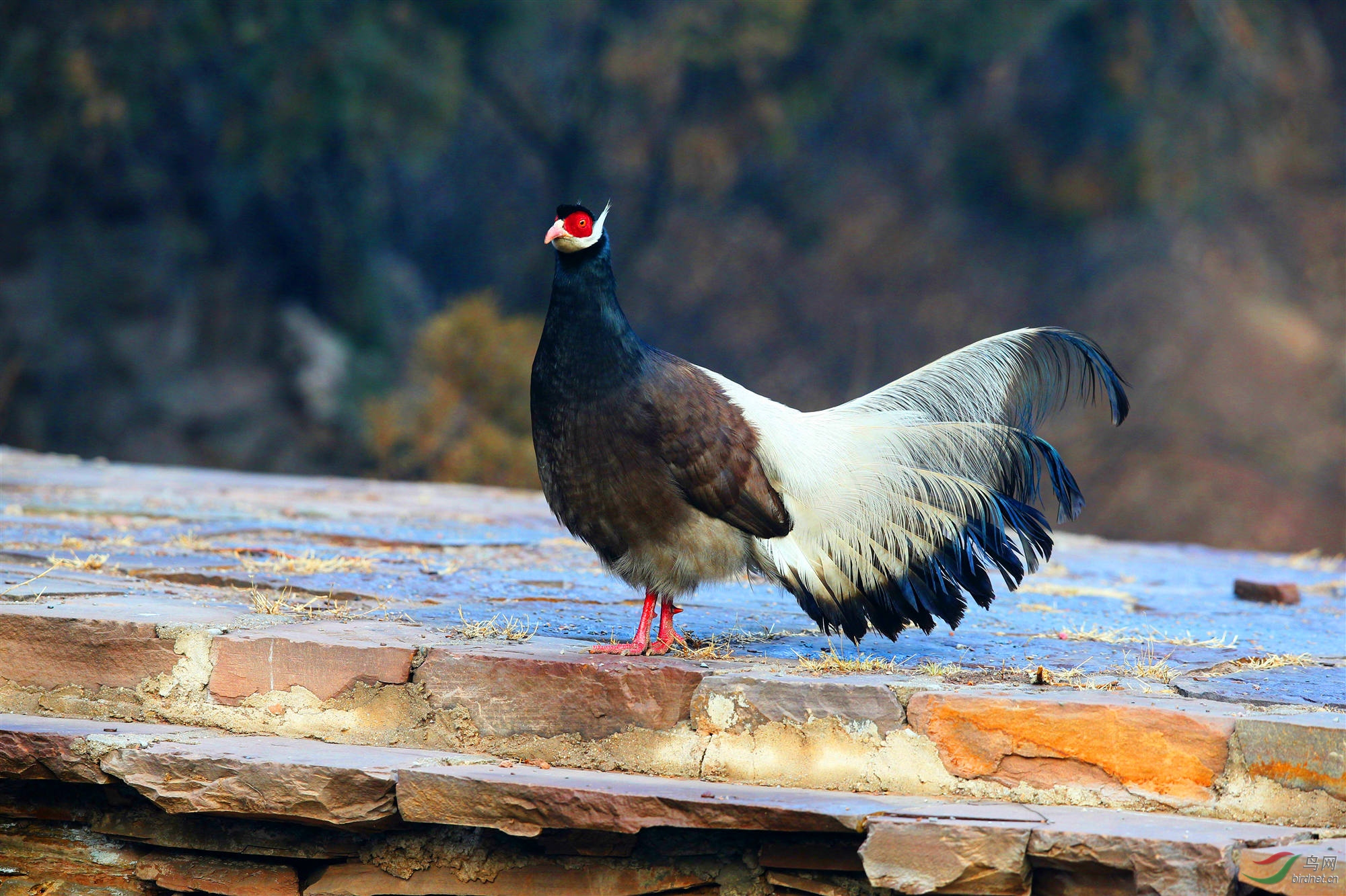 H46R7616_����_���� (2).jpg