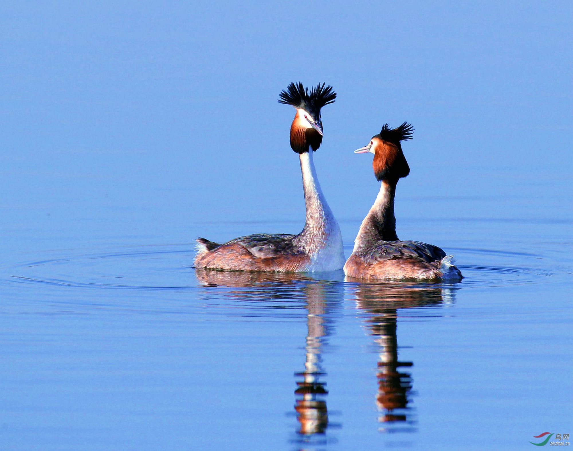 AK2Y1130_2000 (2).jpg