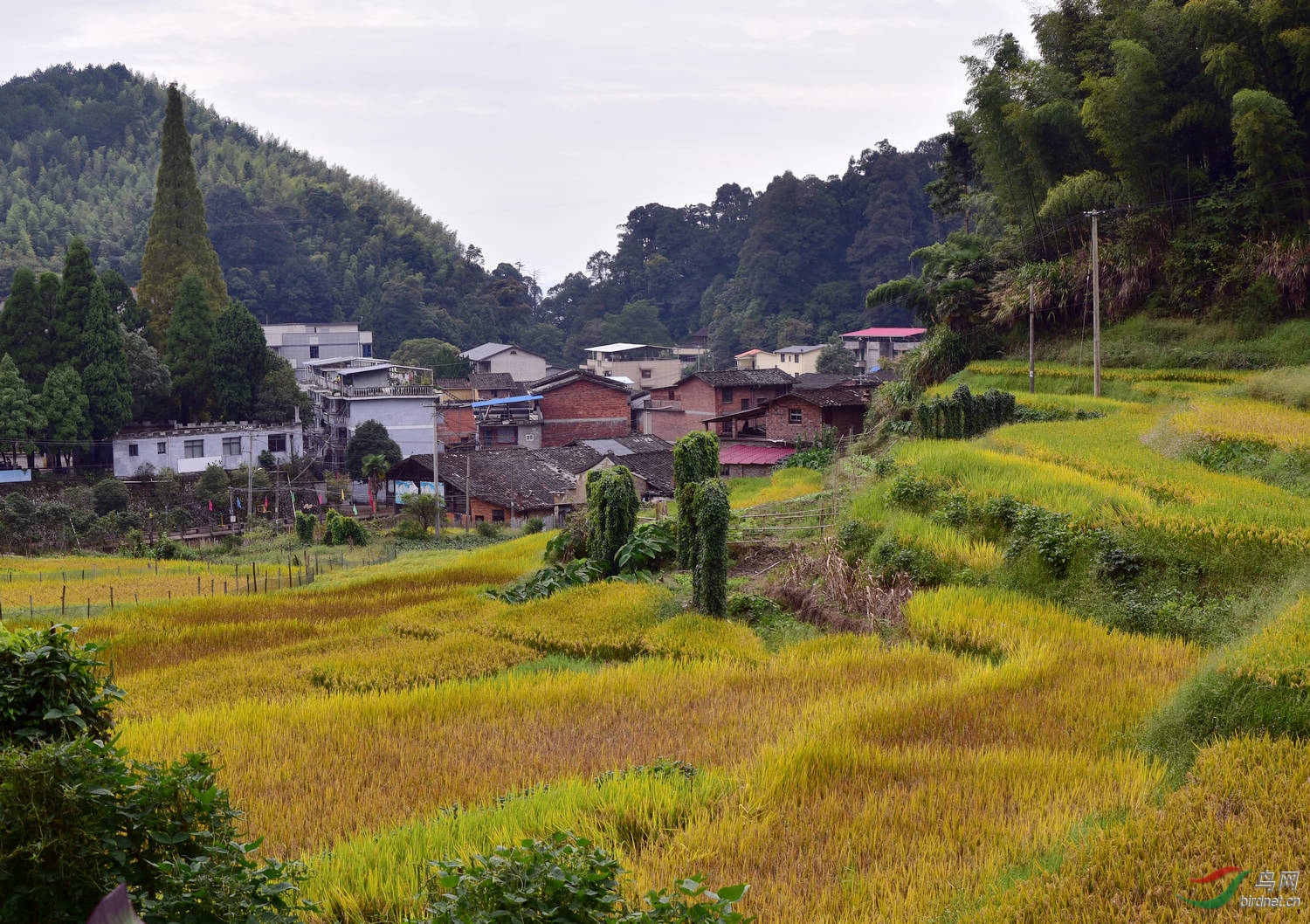 D8I_0610.jpg
