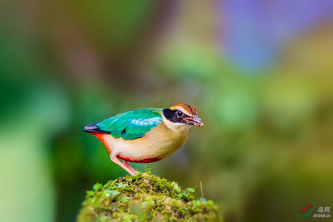 _DSC7699P 1_����.jpg