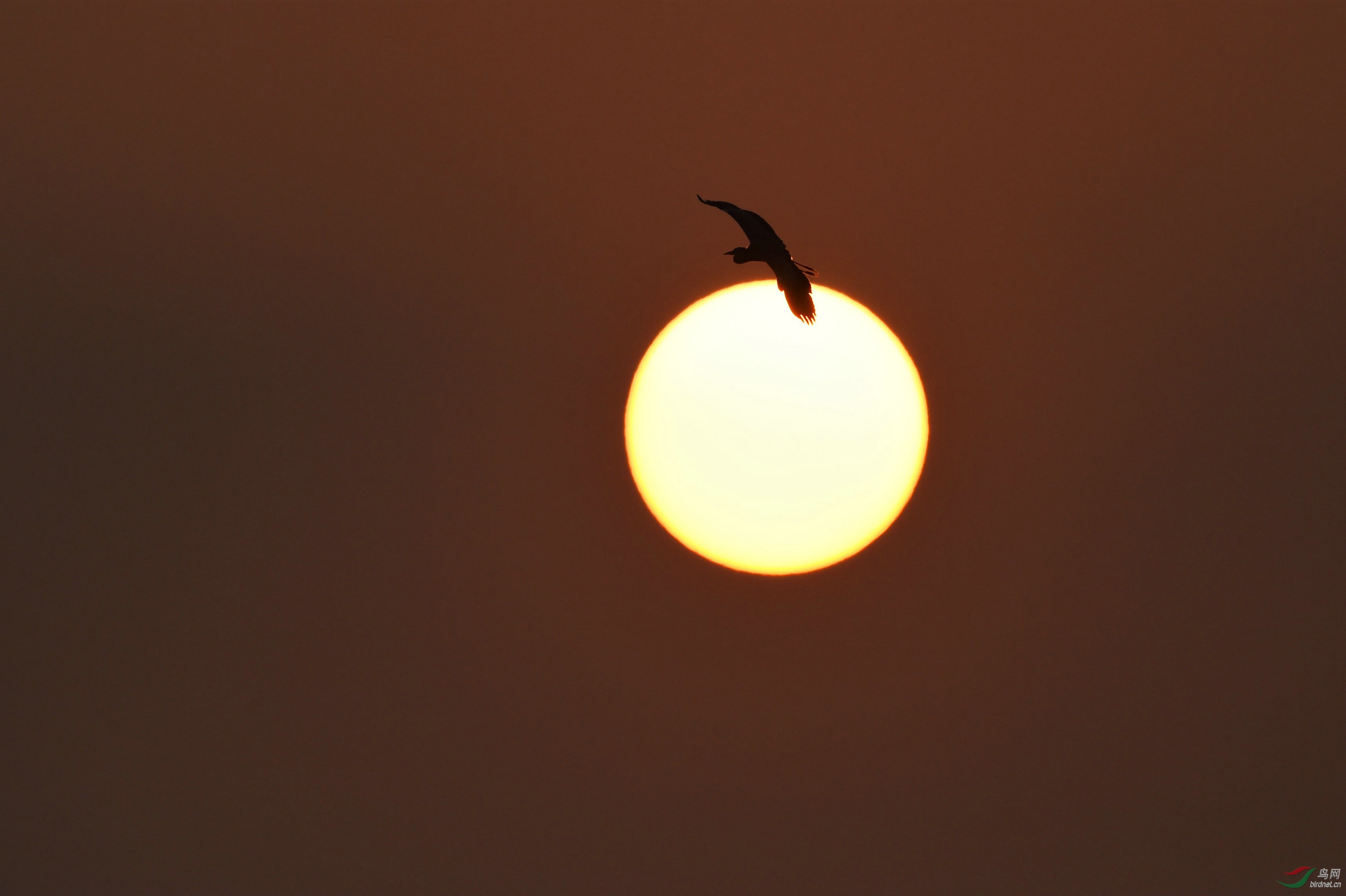DSC_0651.jpg