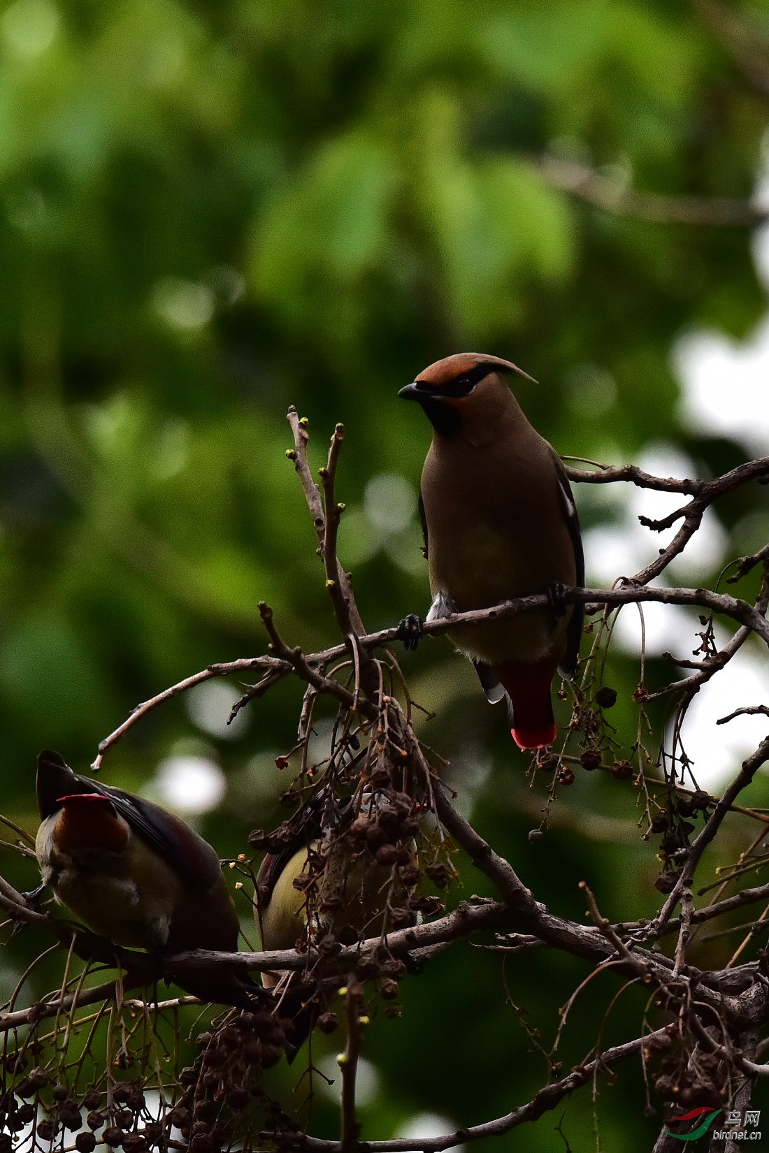 DSC_0502.JPG