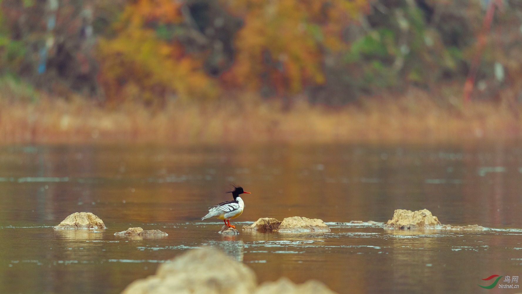 DSC_2886.jpg