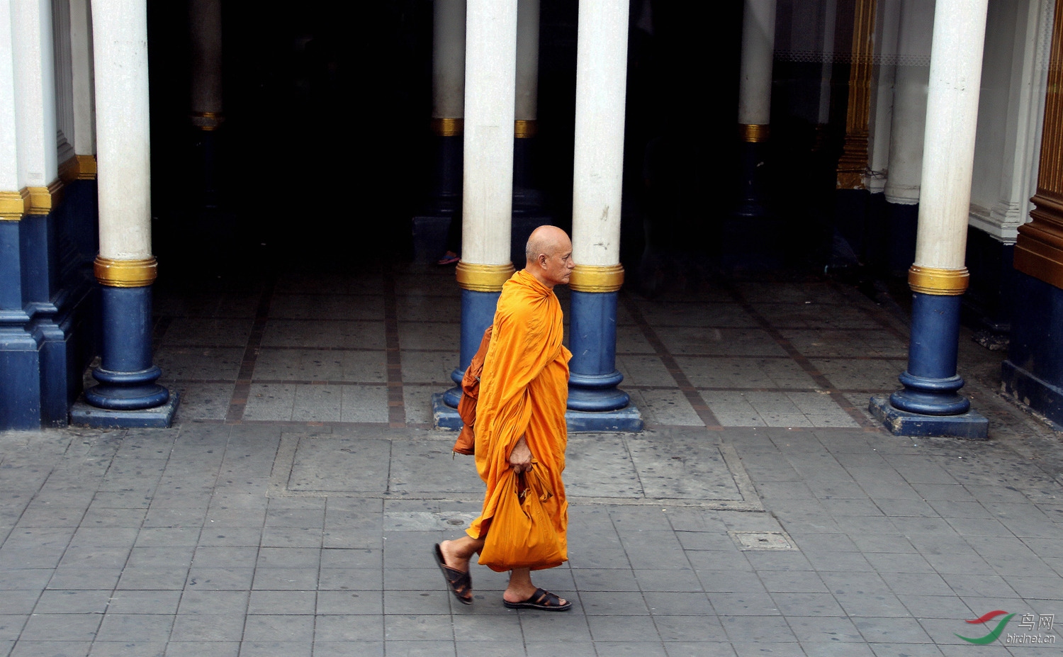 ̩����ͷɮ��