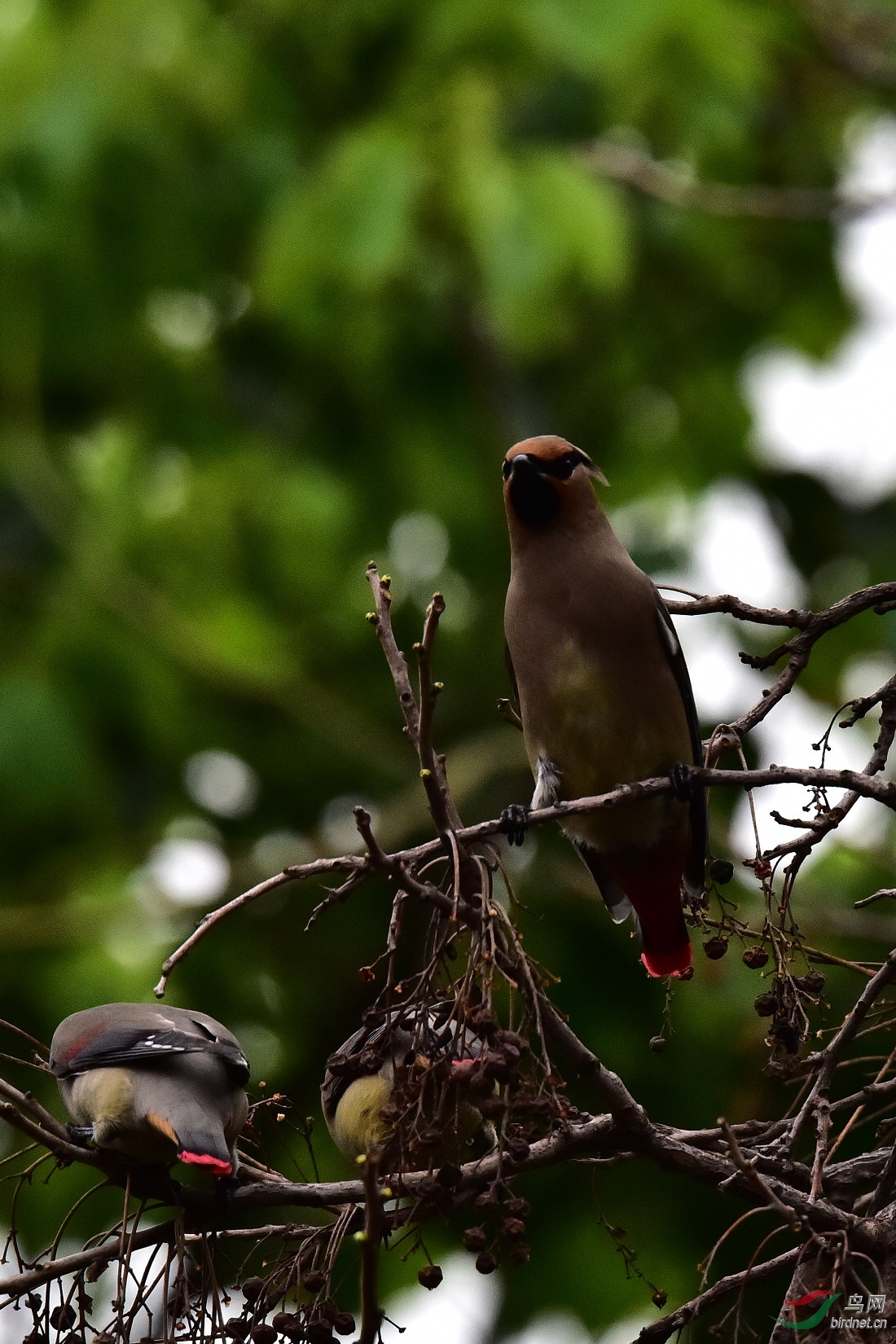 DSC_0503.JPG