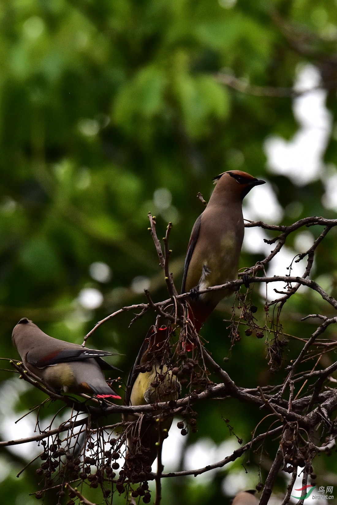 DSC_0504.JPG