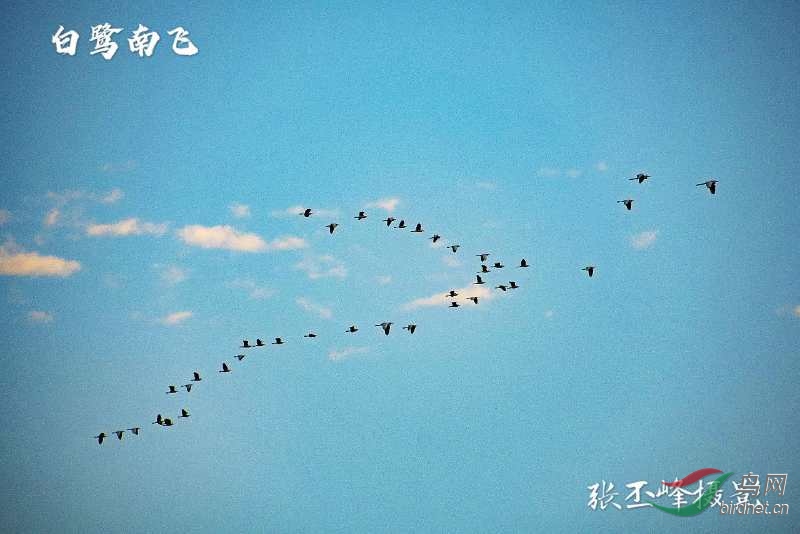 ΢��ͼƬ_20200926224552.jpg
