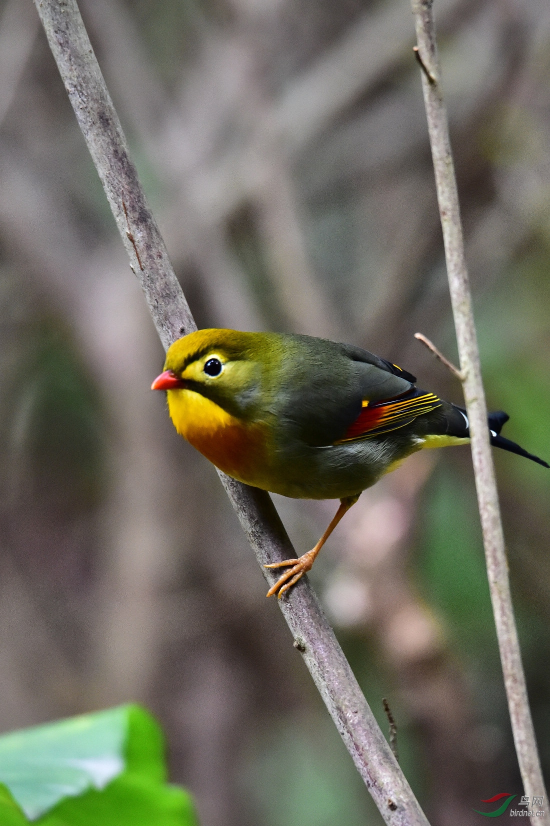 DSC_0506.JPG