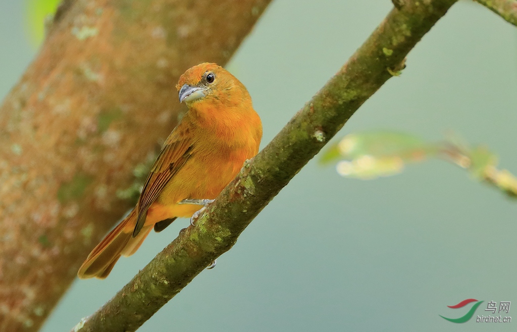 ����������ȸ