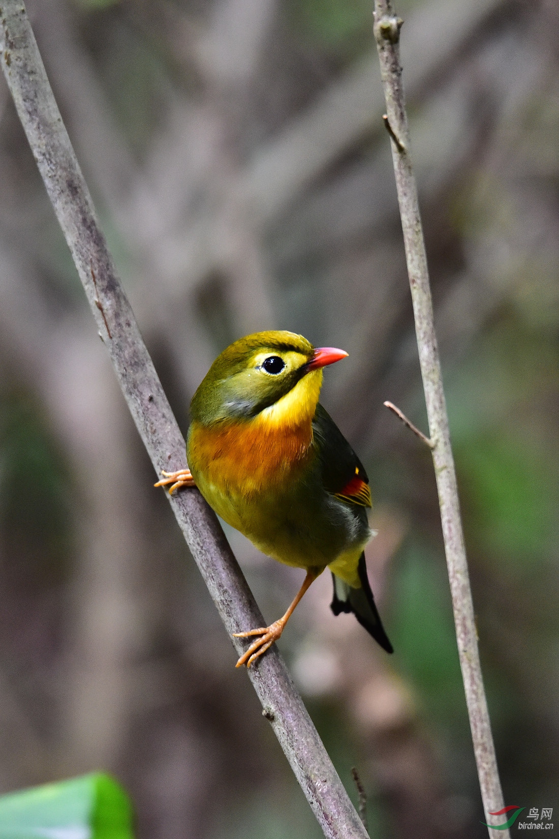 DSC_0507.JPG