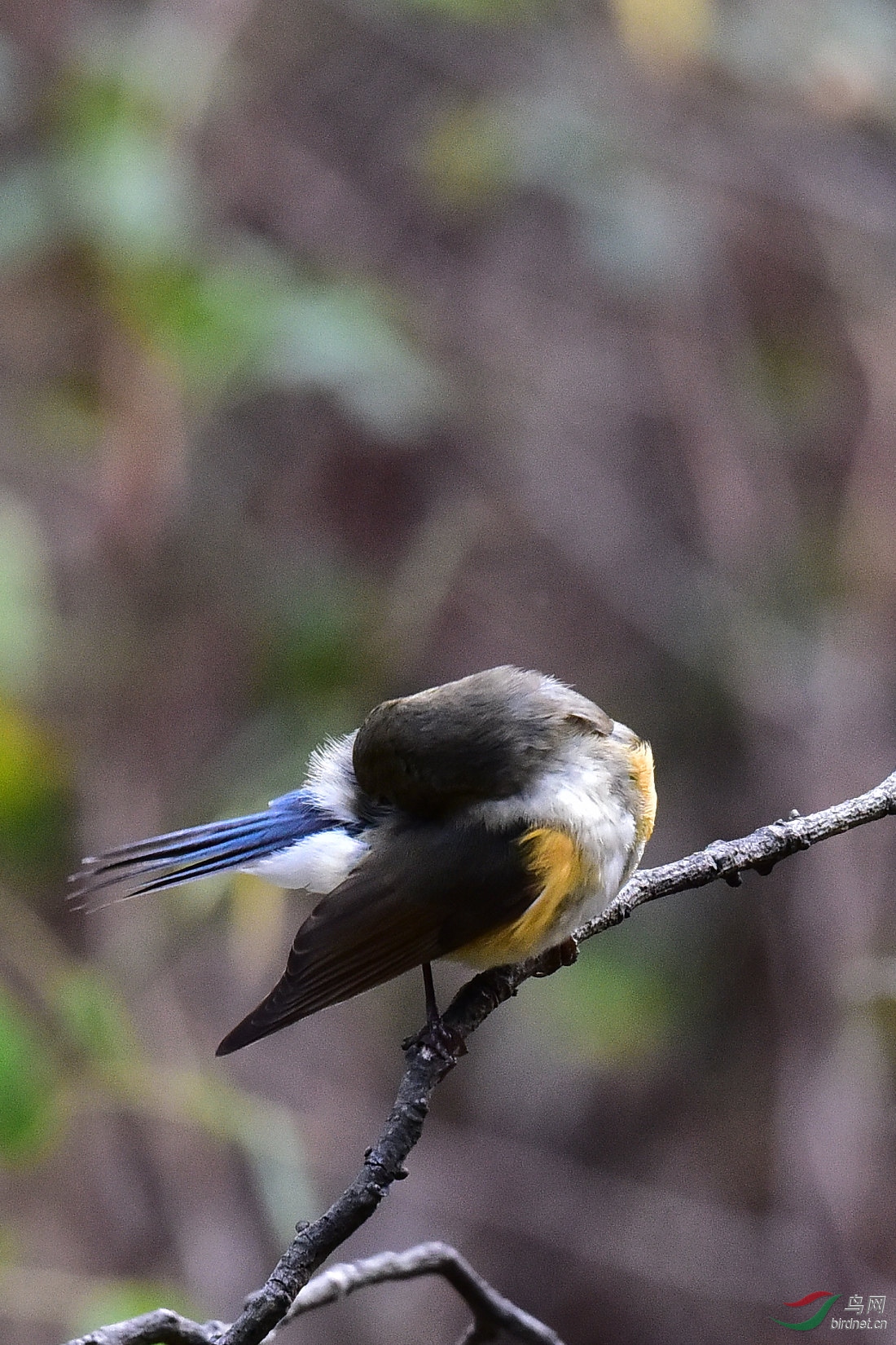DSC_0367.JPG